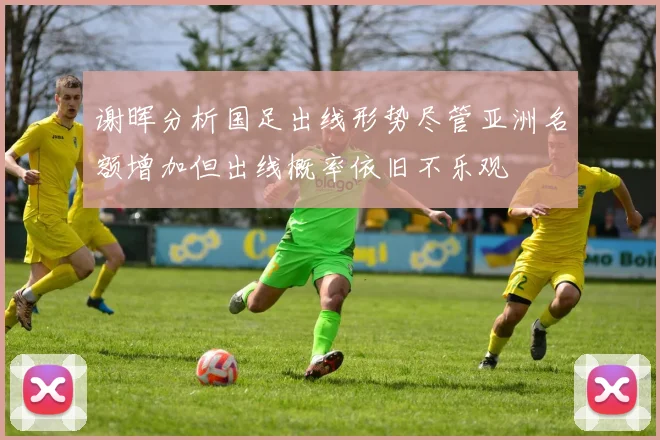 谢晖分析国足出线形势尽管亚洲名额增加但出线概率依旧不乐观